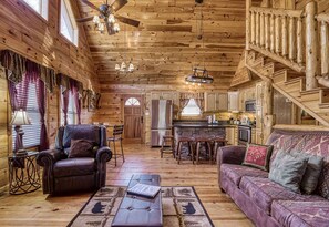 智能电视、壁炉、DVD 播放器