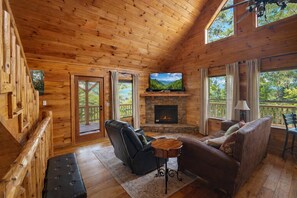 TV connectée, cheminée, lecteur de DVD