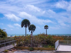 Property grounds - Beach View, Private Plunge Pool, Charming 1938 Bungalow Madeira Beach Johns Pass (Madeira Beach)