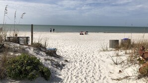 A sandy beach with a wooden bench and a path leading to the water. - Beach View, Private Plunge Pool, Charming 1938 Bungalow Madeira Beach Gulf-Blvd (Madeira Beach)