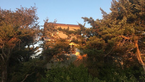 Un bâtiment entouré d’une forêt dense, avec un ciel dégagé au-dessus.