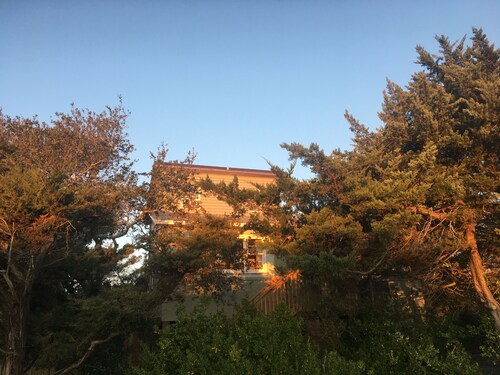 Treetop retreat. Perfect for one or two. 