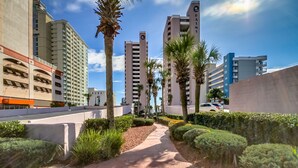 A pathway flanked by palm trees and hedges, leading to high-rise buildings with balconies. - 3BR Direct Oceanfront Condo in the Palms (Myrtle Beach)
