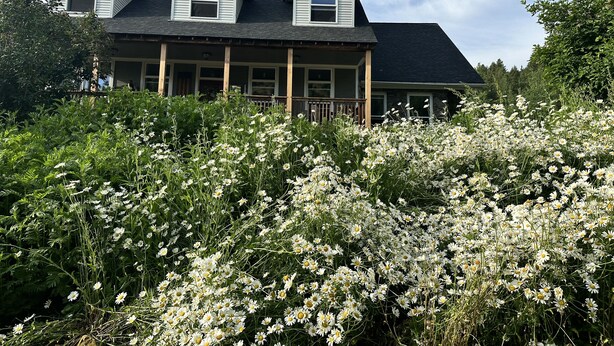 A house with a large porch and multiple windows.