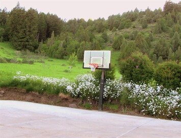 Terrain de sport