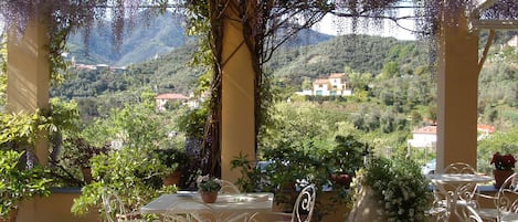 A terrace with a table and chairs, surrounded by potted plants and a view of a mountainous landscape.