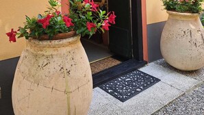 A building entrance with a black door, a number '46' sign, and two large flower pots with pink flowers.