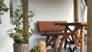 A wooden bench, a cat, and two wicker baskets with plants. - visitHOMES Faroe Islands (Leirvik)