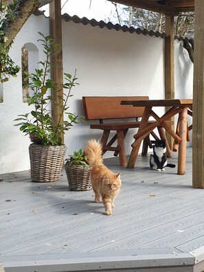 Terrace/patio - visitHOMES Faroe Islands (Leirvik)