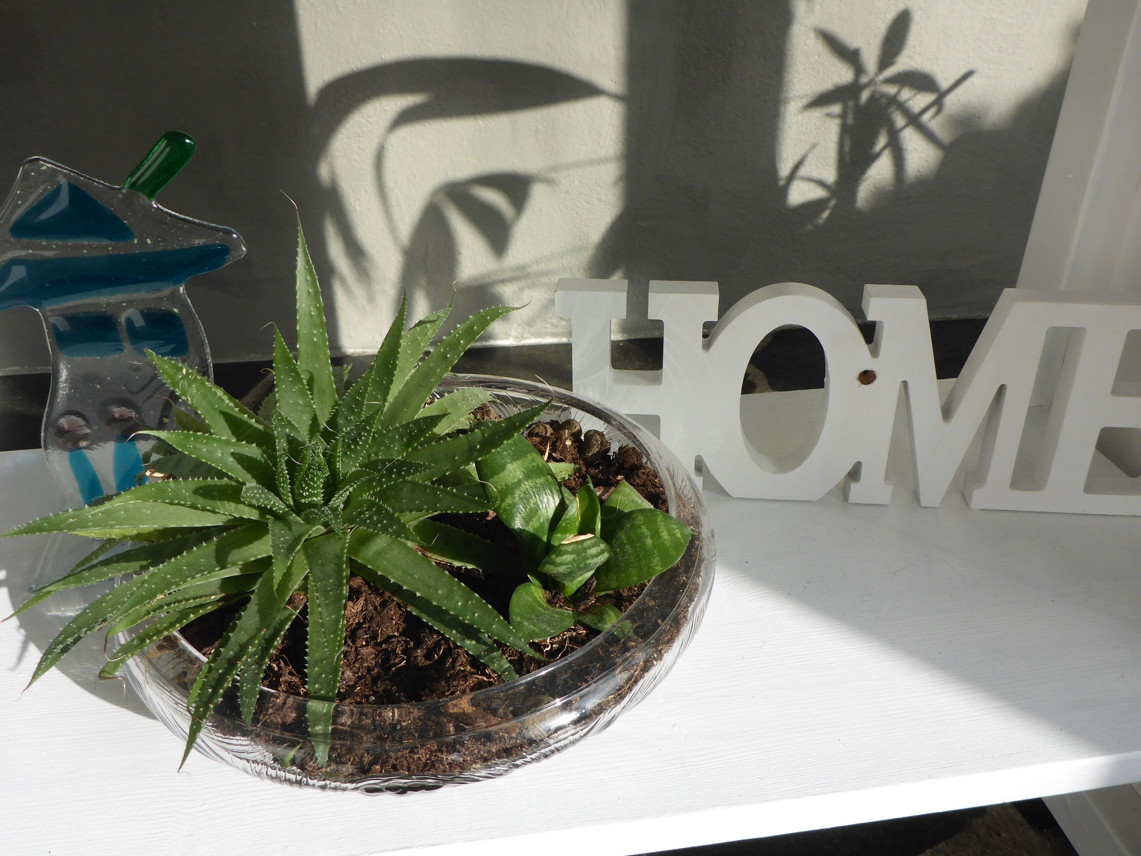 Een pot met een aloë vera plantje op een witte plank, naast een grote witte letter 'H' en een blauw decoratief object.
