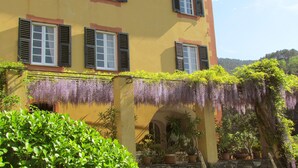 Un bâtiment jaune avec des volets noirs, une arche couverte et des fleurs violettes en suspension.