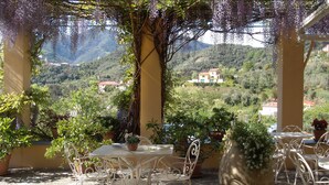 Une terrasse avec une table et des chaises, entourée de plantes en pot et offrant une vue sur un paysage montagneux.