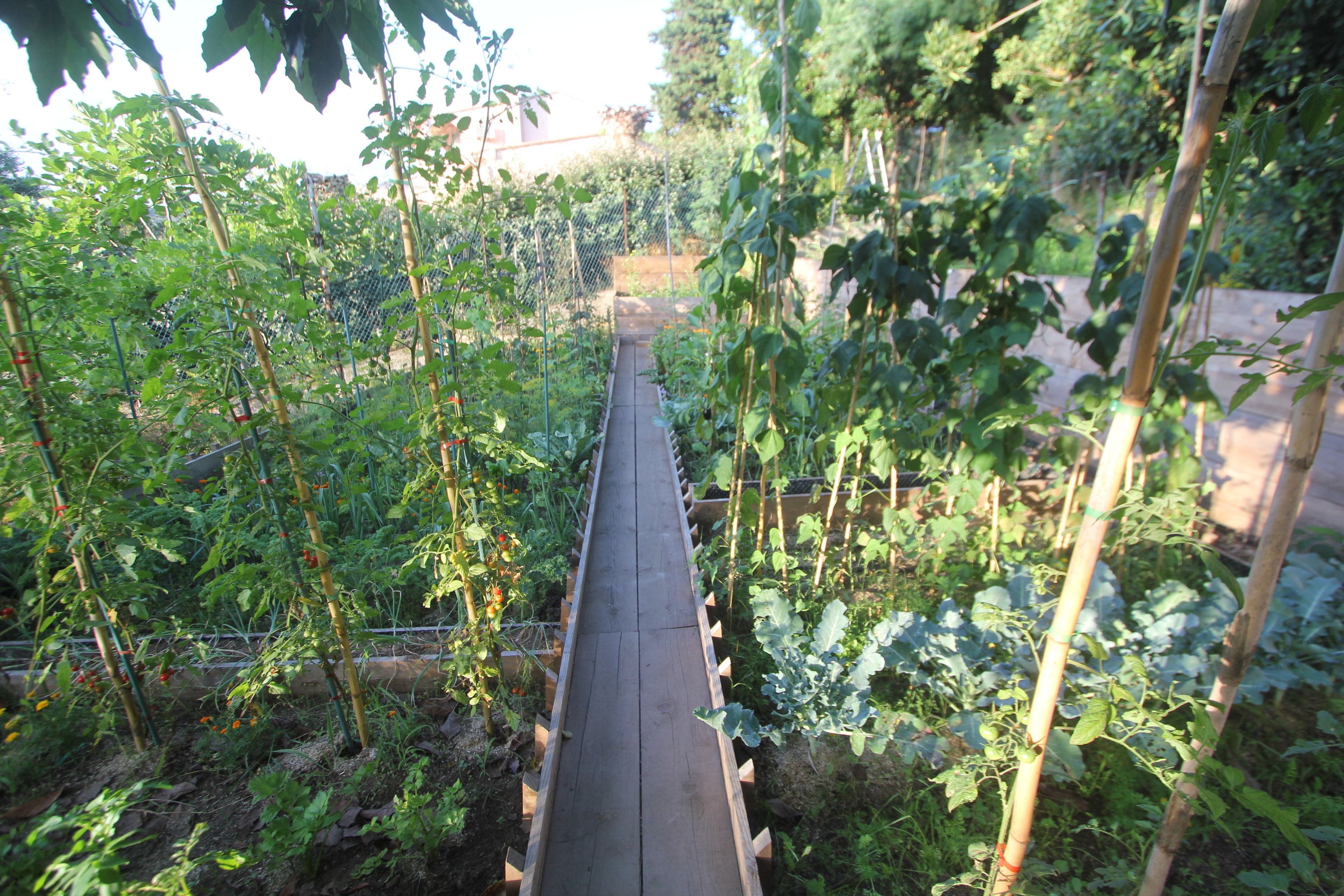 Garden