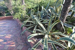 Garden - La Villa Corsica (Coti-Chiavari)