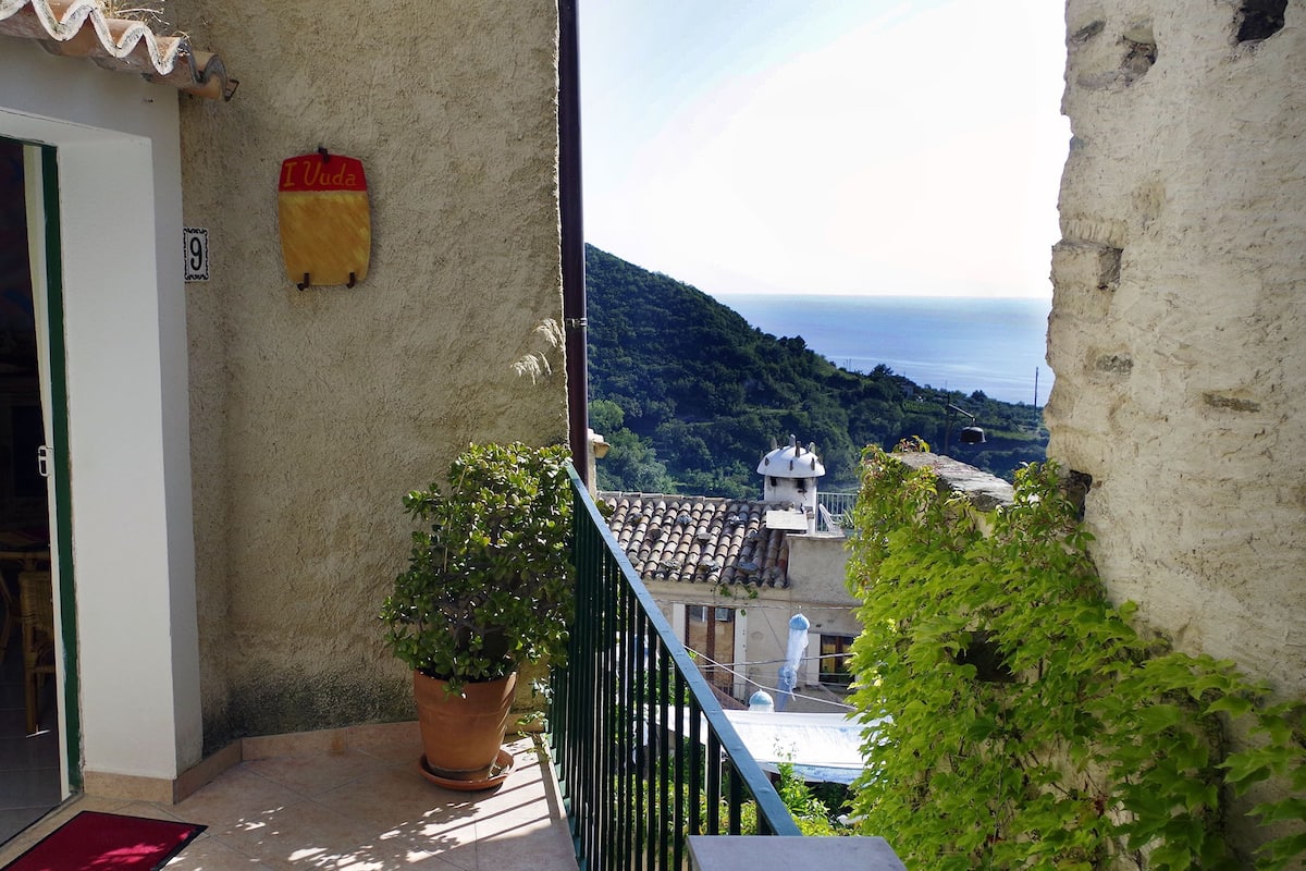 A balcony with a view of the sea, a potted plant, and a door leading to a room.