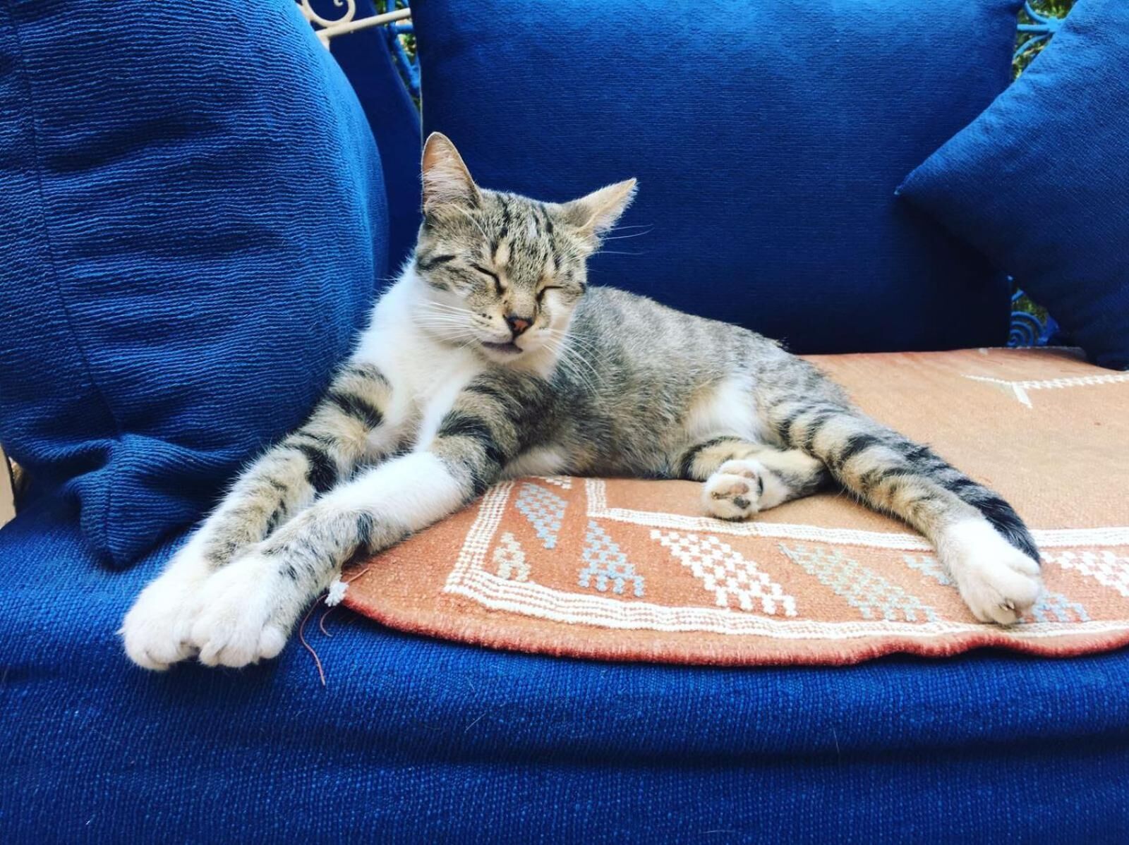 Foto - Riad Jean Claude