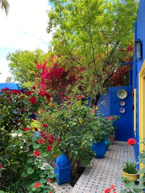 Property grounds - Riad Jean Claude (Fes)