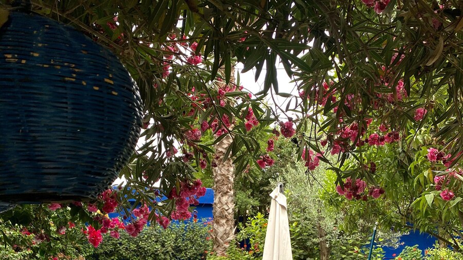 Riad Jean Claude