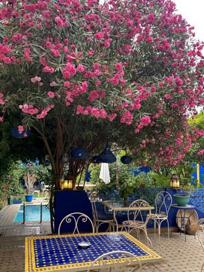 Terrace/patio - Riad Jean Claude (Fes)