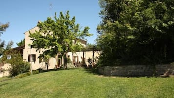 Taman