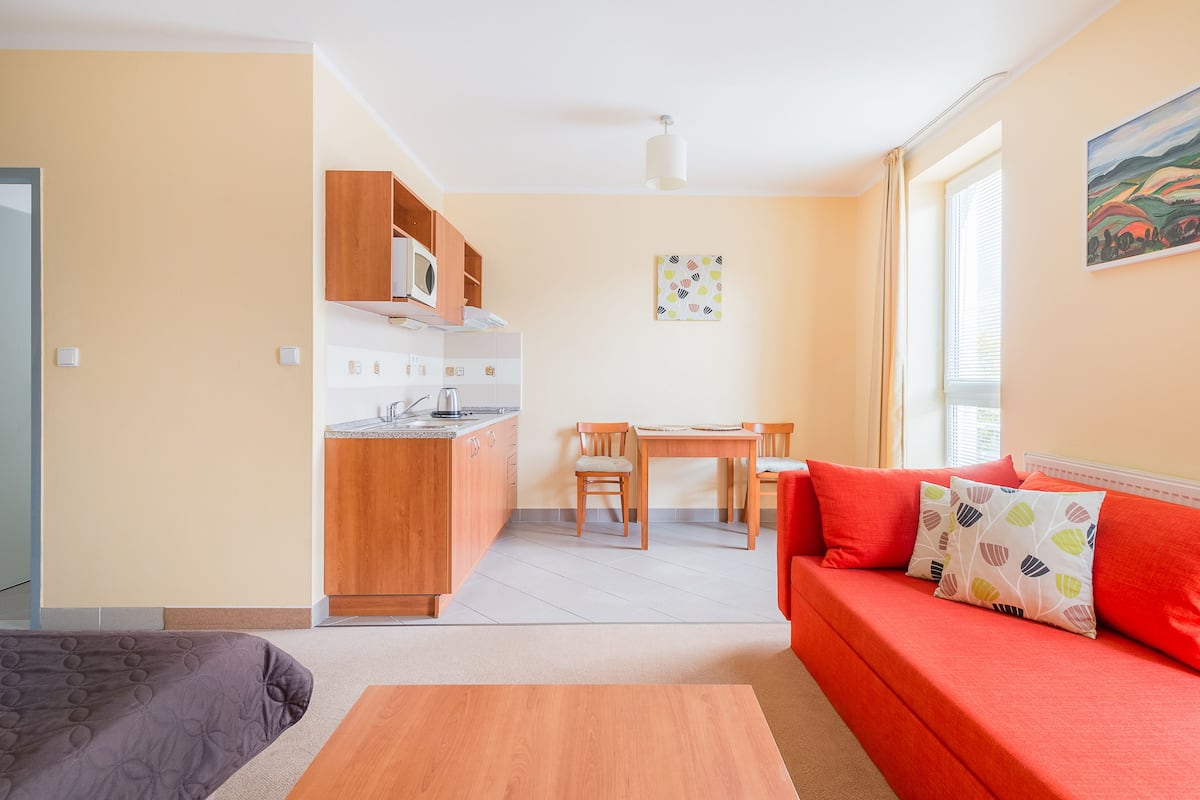 Premium Single Room, 1 Bedroom | In-room safe, desk, iron/ironing board, cots/infant beds
