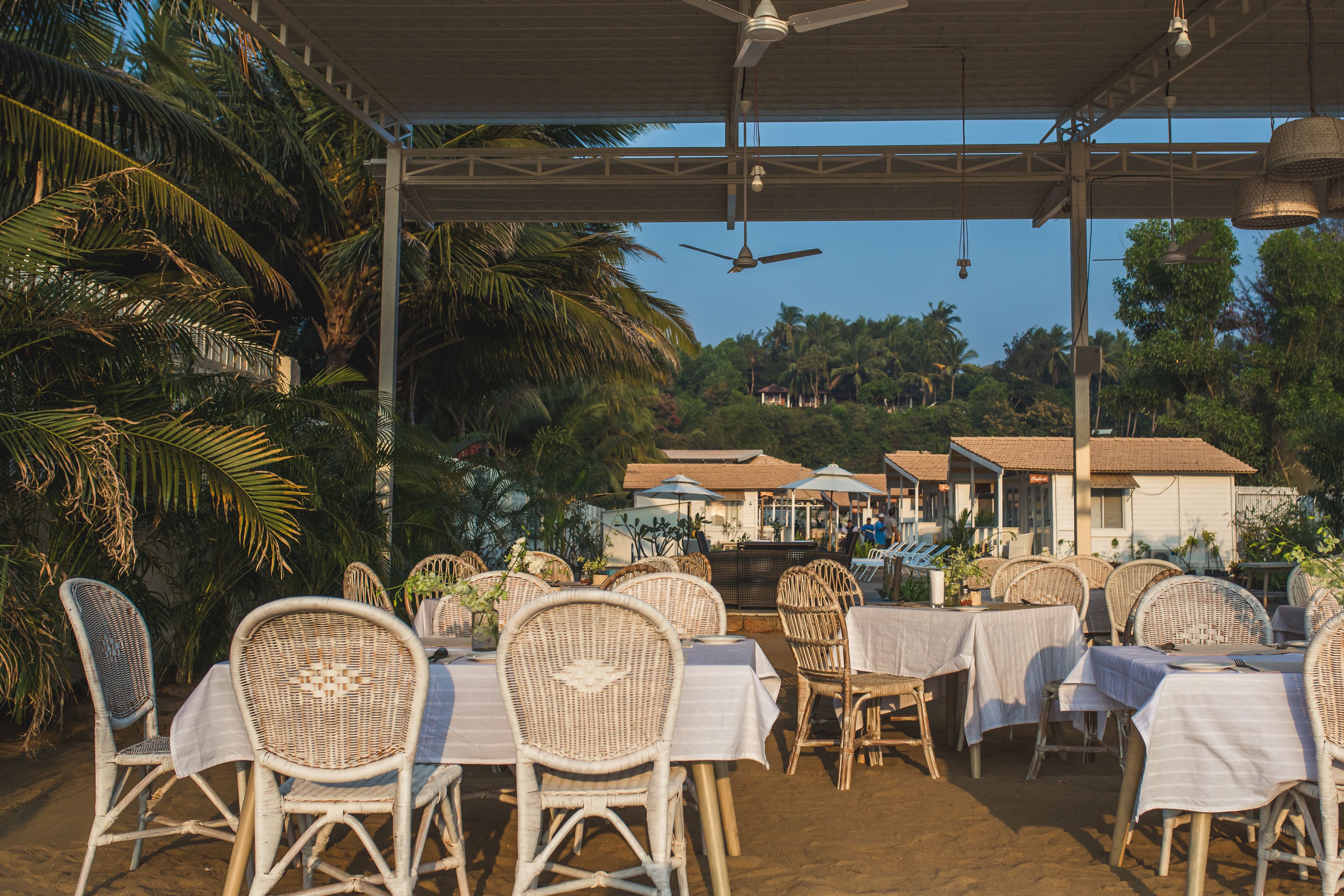 international cuisine, beach views