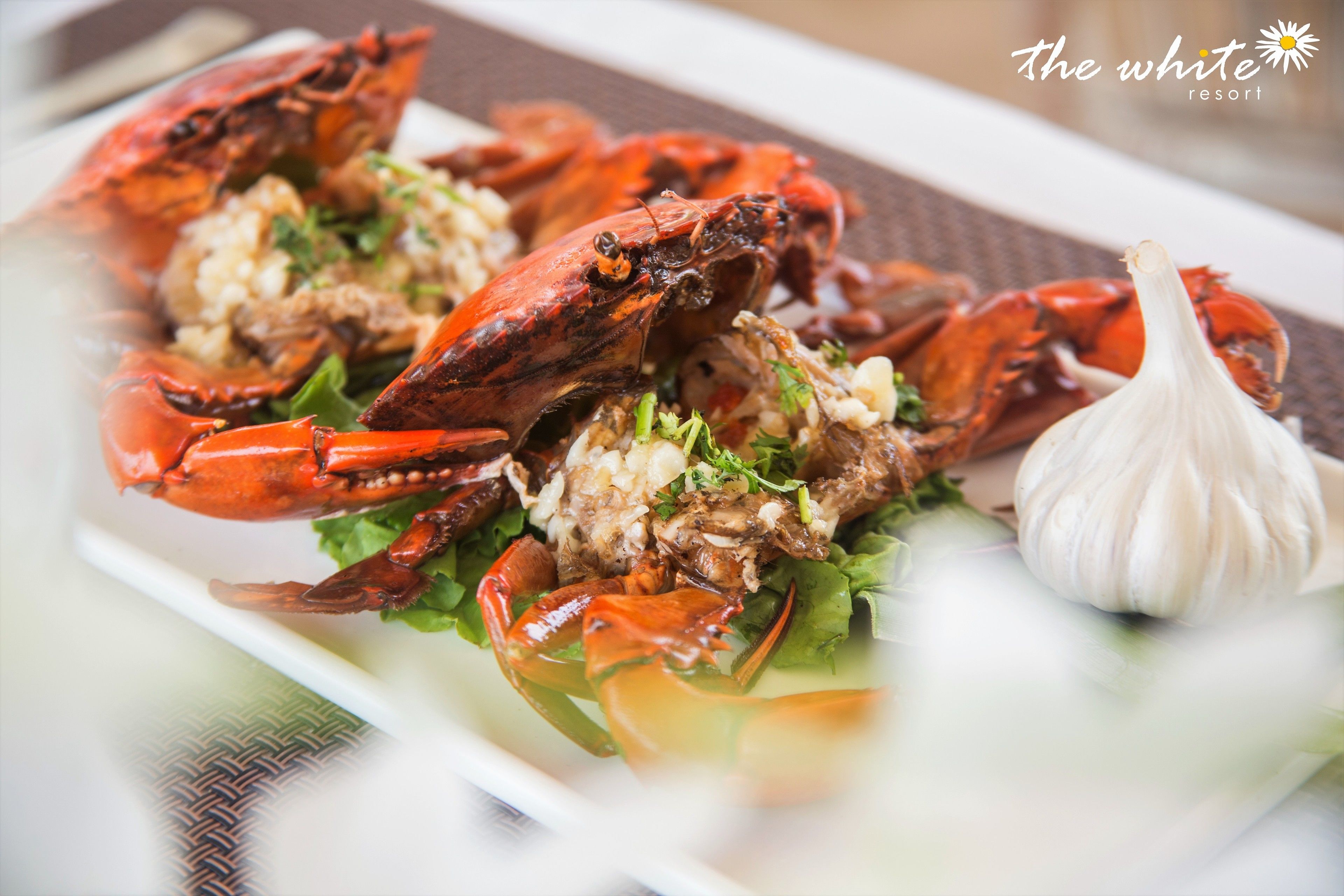 international cuisine, beach views