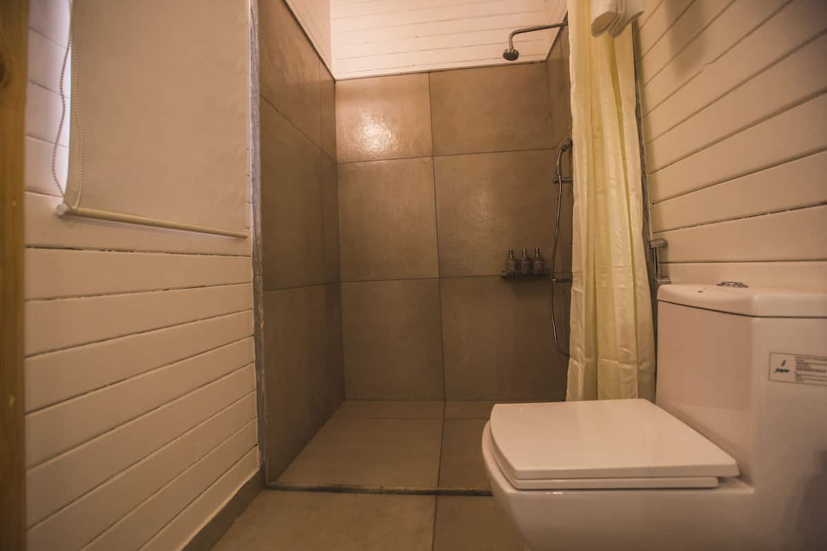 shower, free toiletries, towels