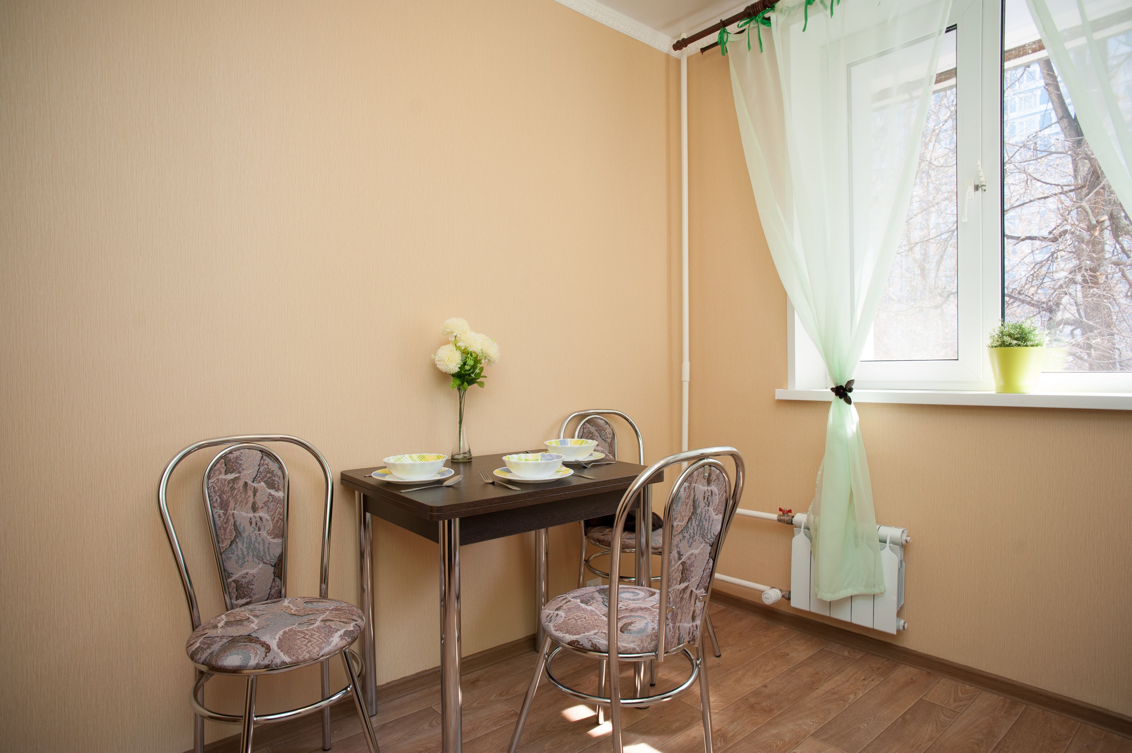 Apartment | Eigene Küche | Kühlschrank, Mikrowelle, Herdplatte, Wasserkocher