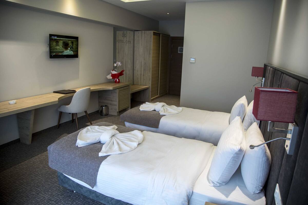 Een hotelkamer met twee bedden, een bureau, een stoel, een televisie en een kledingkast.
