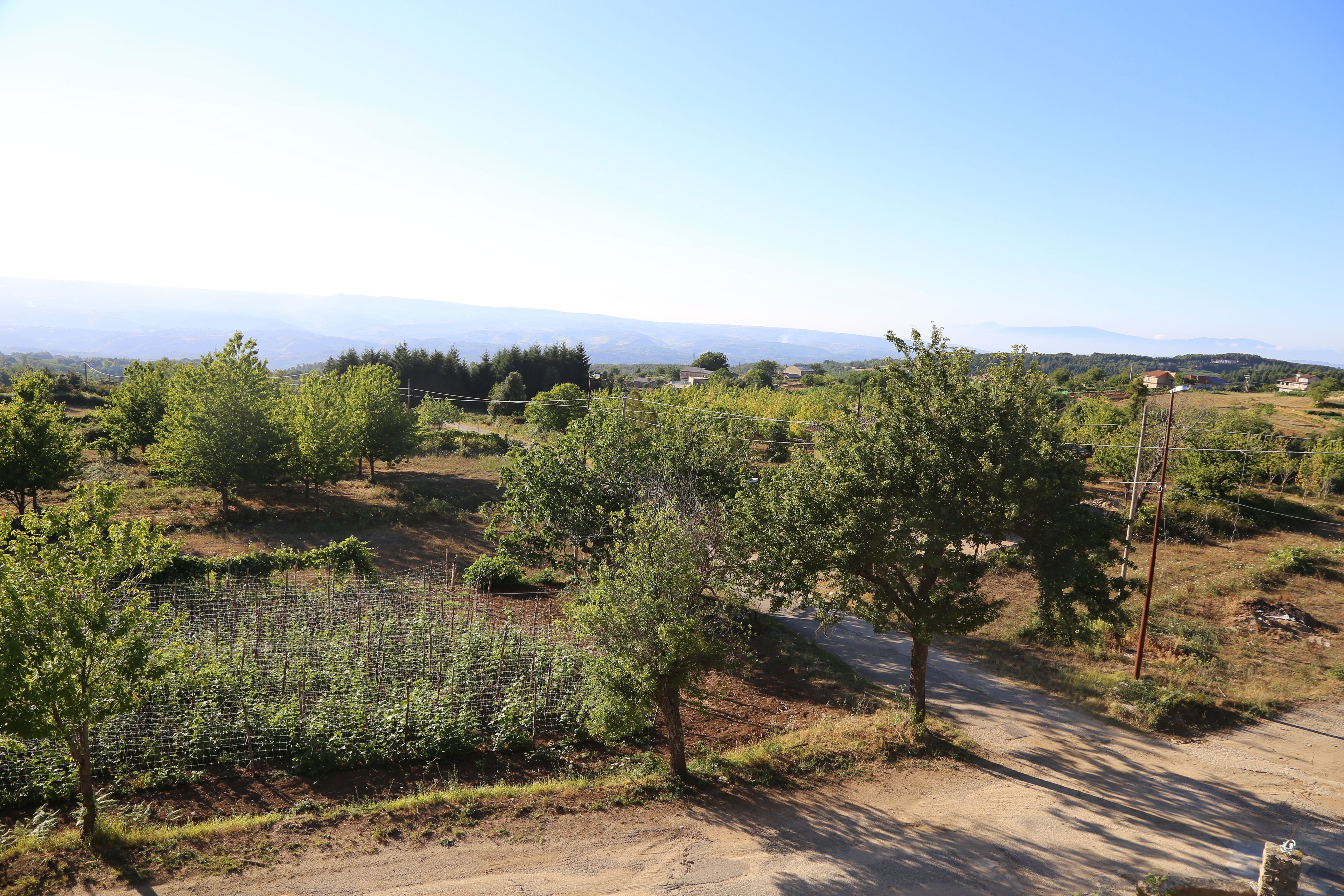 A rural landscape with a dirt road, green vegetation, and distant mountains.