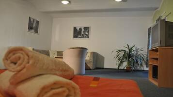 Family Room | Blackout drapes, iron/ironing board, free WiFi, bed sheets