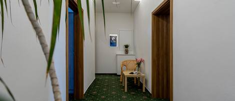 Un pasillo estrecho con alfombra estampada, puertas de madera y una pequeña mesa con un florero.