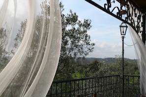 View from property - Agriturismo Tenuta Merlano (Sacrofano)