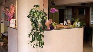 Zona de recepción con mostrador central, plantas en macetas y suelo de baldosas.
