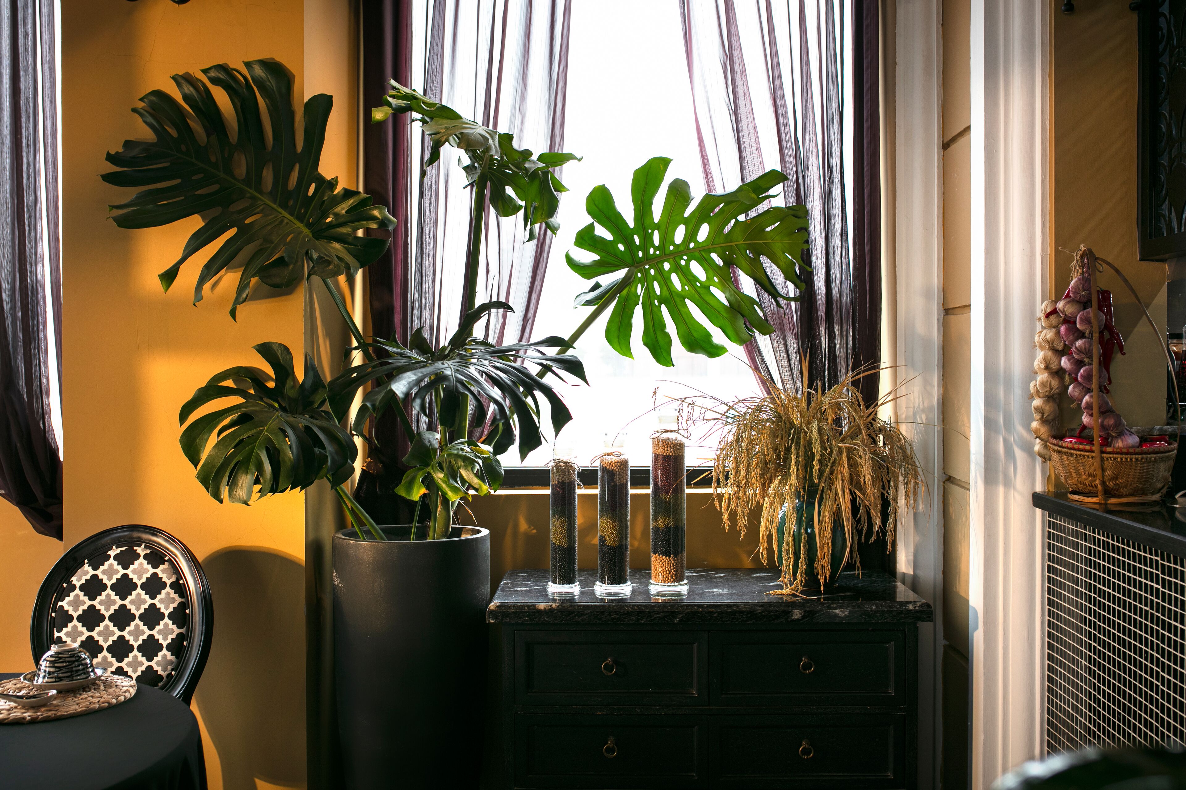 Foto - JM Marvel Hotel & Spa