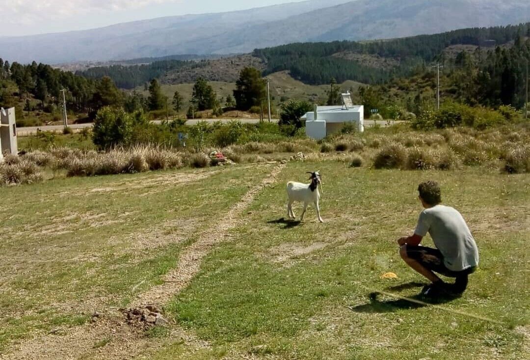 A person crouching in a grassy field with a goat in the distance, a building, and a mountainous landscape.