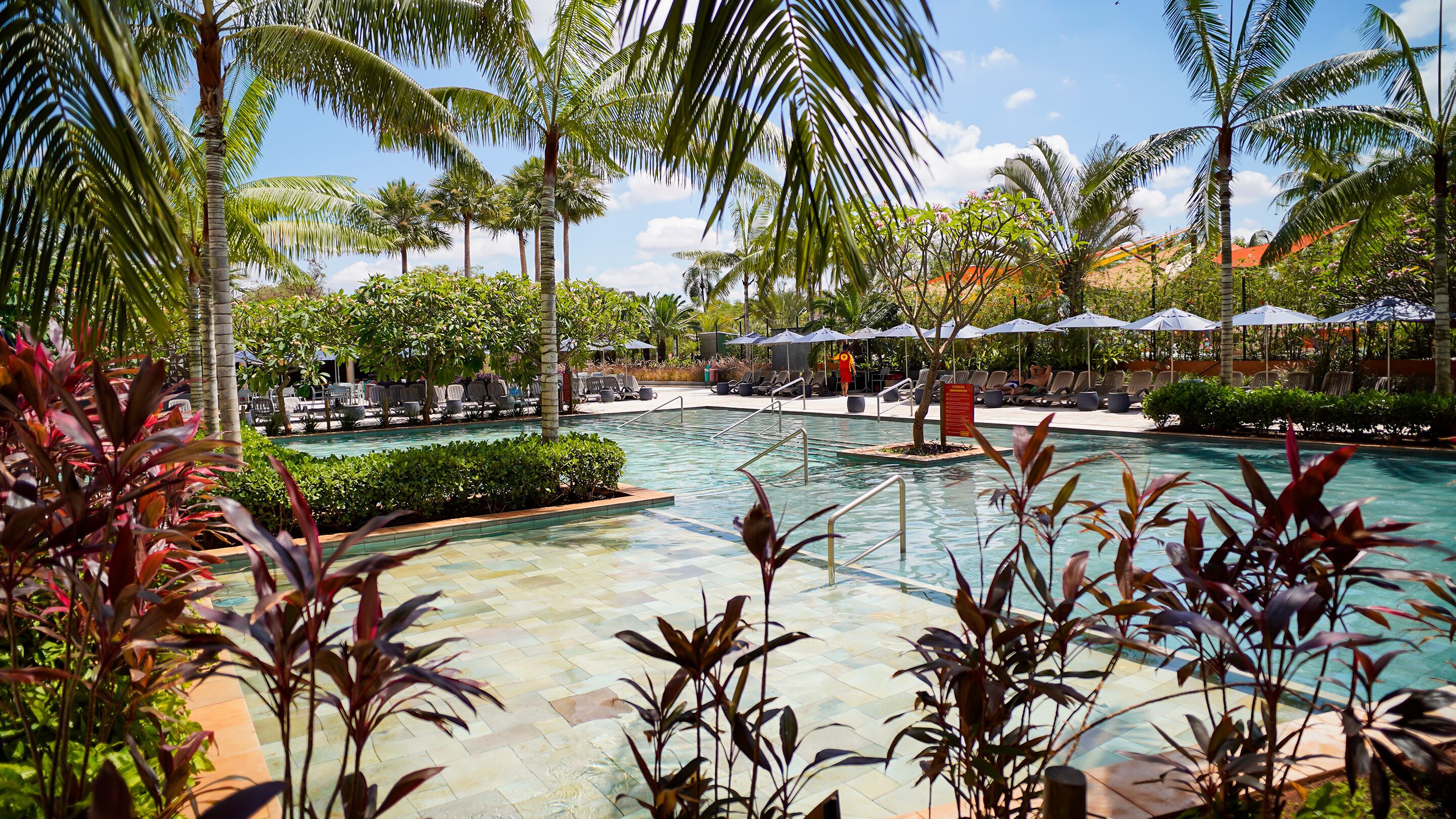 A pool area with lounge chairs and umbrellas, surrounded by palm trees and tropical plants.