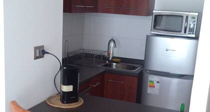 Apart Hotel Plaza Suite Los Carrera