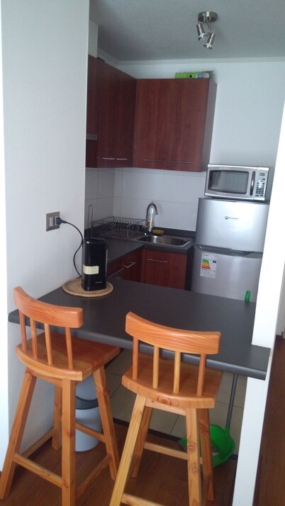 Apart Hotel Plaza Suite Los Carrera