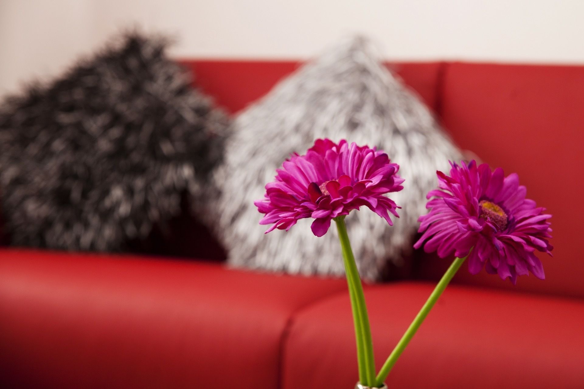 Een rode bank met twee roze bloemen in vazen.