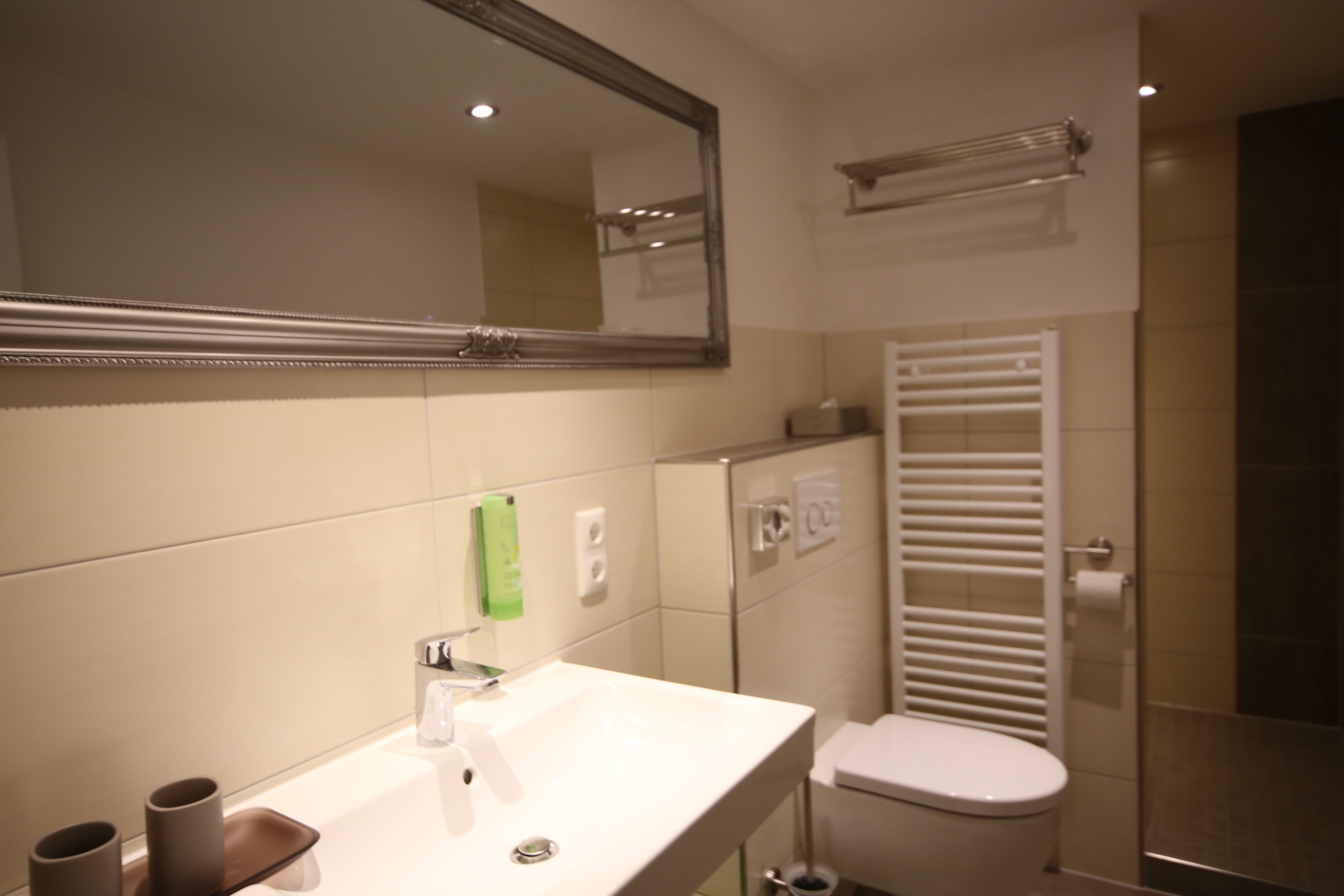 classic double room | bathroom | shower, free toiletries, hair dryer, towels