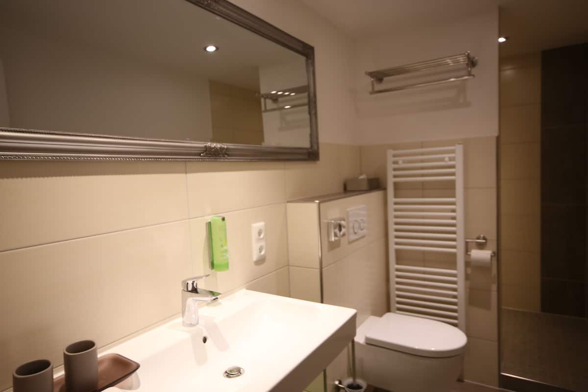 classic double room | bathroom | shower, free toiletries, hair dryer, towels