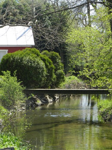 Red Cardinal Bed and Breakfast