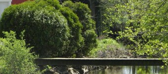 Red Cardinal Bed and Breakfast