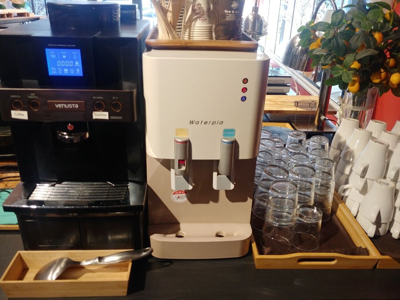 daily buffet breakfast for a fee