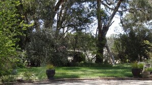 A paved area with two large planters, surrounded by dense greenery and trees.