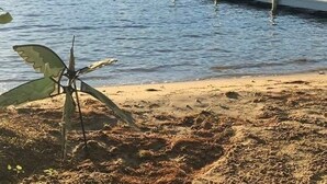 A calm lake with a wooden dock extending into the water. - Sandy waterfront, grass yard, 40' private dock. Foliage week special-Book now! (Moultonborough)