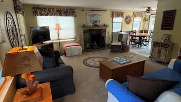 Smart TV, fireplace, video games, DVD player