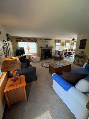 スマートテレビ、暖炉、テレビゲーム、DVD プレーヤー